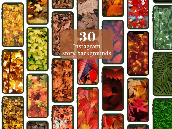 Download Autumn Leaves Instagram Story Background - Instagram Collection